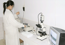 �����ũ��������