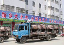 �����ũ��˾��ũ��